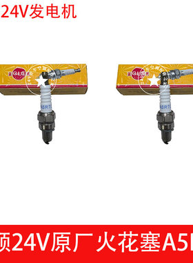 东频24V汽油发电机火花塞a5rtc原厂配件驻车空调专用火花塞东频