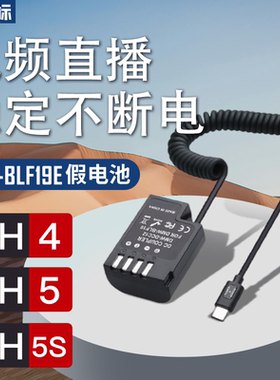沣标GH7松下DMW-BLF19E假电池DMC-GH4 GH5 GH3室外直播供电GH5S微单DC-G9LGK模拟外接电源适配器充电宝Type-C