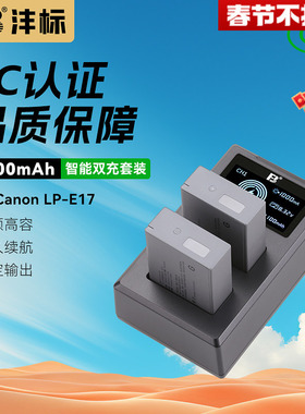 沣标LP-E17电池R50V V1佳能EOS R100 R8 R10 200D二代M6/3/5相机850D RP 750D 760D 800D 77D单反微单充电器
