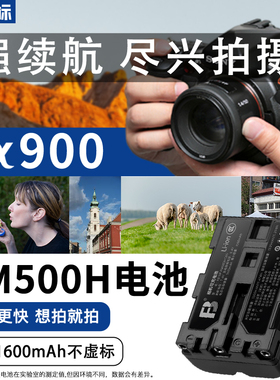 沣标FM500H电池适用于索尼A99M2 A900 A350 A77M2 A99 A550  A58 A65 A100 A200 A580单反相机A57 659 FM30