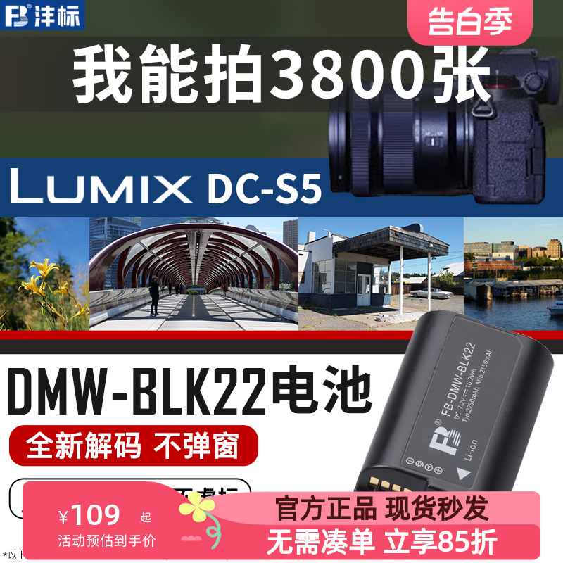 沣标DMW-BLK22相机电池适用于松下Lumix DC-S5 S5K S5M2 S5GK GH6单反GH6L GH5M2L全画幅无反II充电器配件 3C数码配件 数码相机电池 原图主图