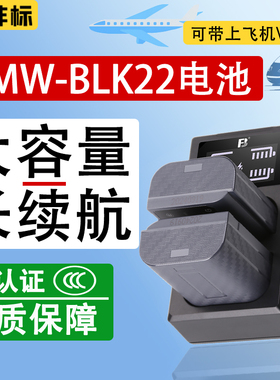 沣标DMW-BLK22相机电池适用松下S9 DC-G9M2 DC-S5 S5M2 S5II S5IIX S5M2X GH6 GH6L GH5II GH7充电器单反配件