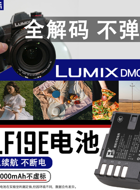 沣标适用于DMW-BLF19E电池松下DMC-GH4 GH7 GH5 GH6 GH5S GH3 G9LGK GH5S适马SDQ BP-61微单相机数码配件