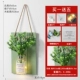 Qingfeng Bangxin+Green Board