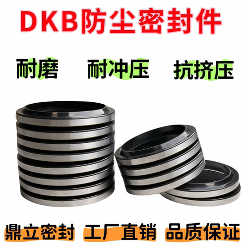DKB外铁壳防尘油封内径145/150/155/160/170/175/180/190/200/210
