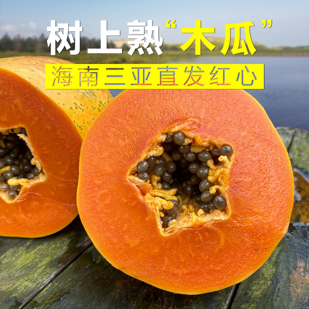 海南树上熟巧克力牛奶红心木瓜三亚自然熟新鲜水果孕妇5斤8斤顺丰