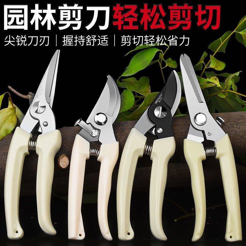 修剪神器园艺剪刀摘水果树枝修花工具盆栽修枝剪不锈钢家用果树剪