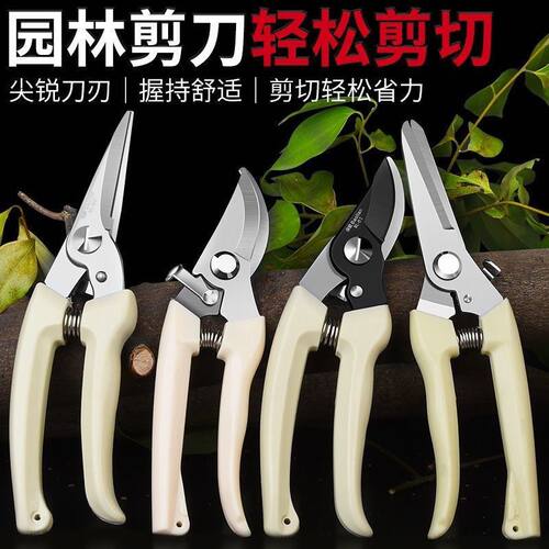 修剪神器园艺剪刀摘水果树枝修花工具盆栽修枝剪不锈钢家用果树剪