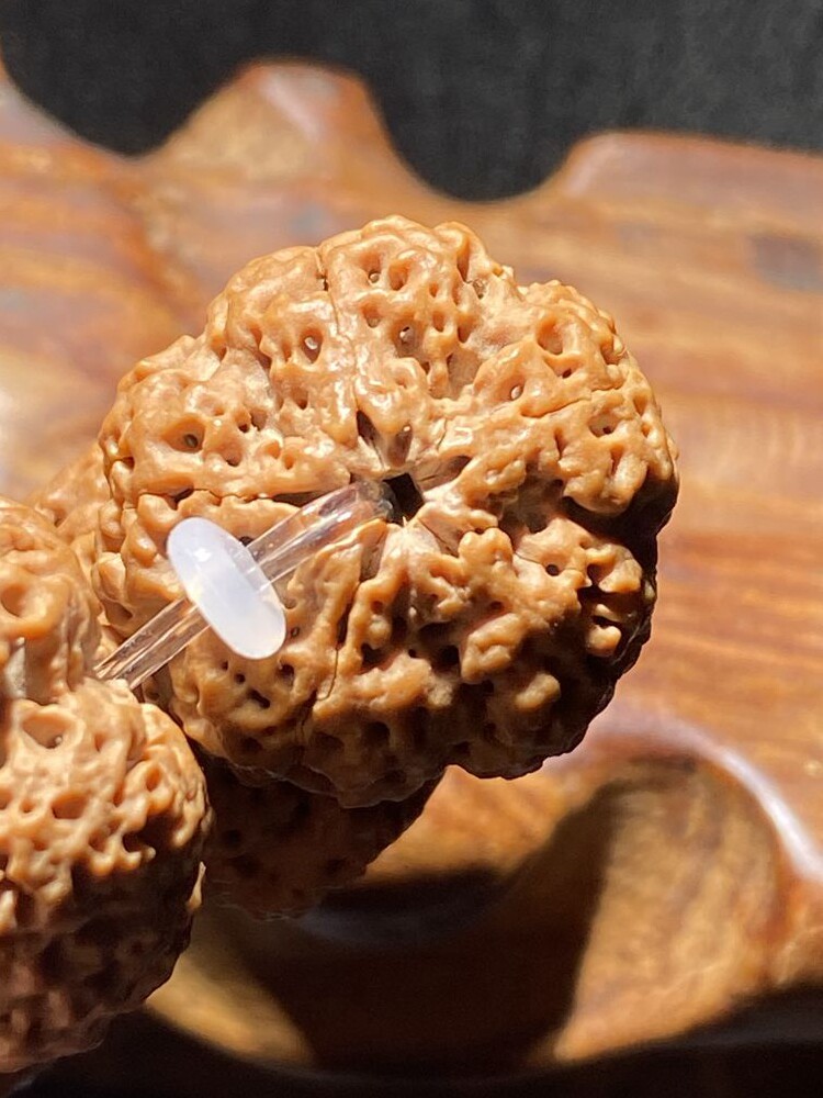 네팔 순수한 혈액 5 꽃잎 5성 여왕벌 고밀도 전체 육체 VAJRA BODHI 종자 부처님 비즈 팔찌
