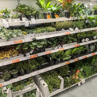 宜家菲卡人造盆栽植物室内户外悬挂绿植现代简约北欧风国内代购