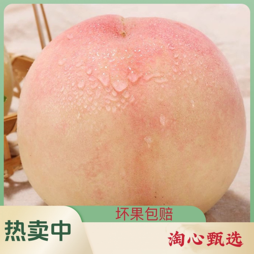 现摘软桃阳山水蜜桃无锡软桃阳山