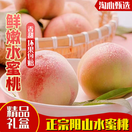 阳山水蜜桃香甜软糯桃王阳山