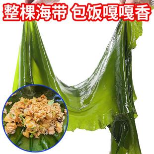 5斤包饭海带新鲜整棵海带嫩非干货即食威海荣成盐渍头丝整箱头茬