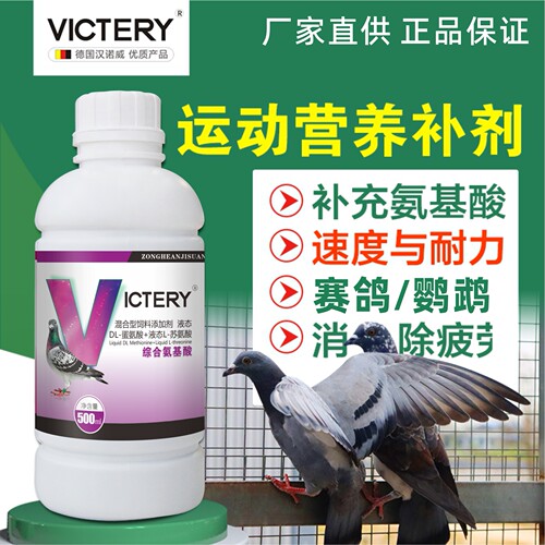 汉诺威赛鸽营养品氨基酸补充营养