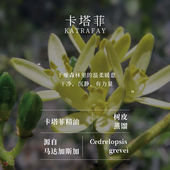 树皮蒸馏萃取 马达加斯加 卡塔菲精油 单方精油