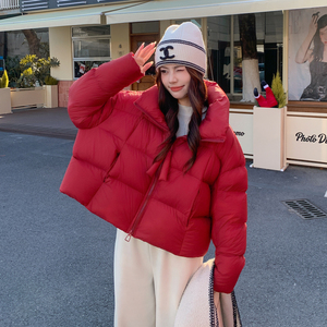 新款图 大货已出90白鸭绒超厚180g羽绒服275-M797-P315-K438图片
