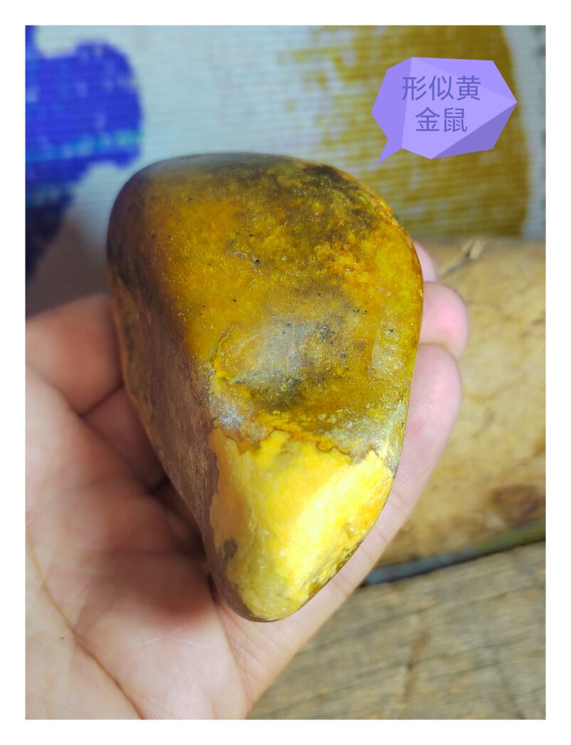 形似黄金鼠的新疆七彩籽料原石，珠宝奇石