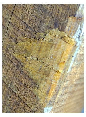 海南黎族收藏绿奇楠沉香老根料，沉水沉香特征明显香韵醇厚黄熟香