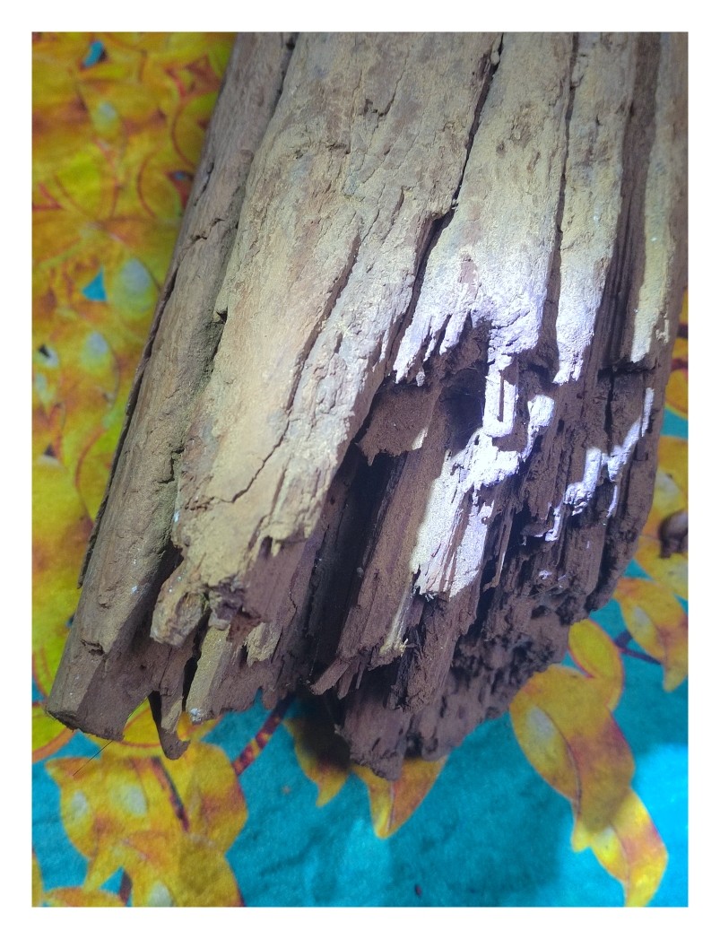 倒架奇楠沉香14.95公斤沉水铁沉，瑞香科沉香特征明显鸭粪绿满油,饰品/流行首饰/时尚饰品新,沉香,淘宝优惠券,粉丝福利购,淘宝优惠卷