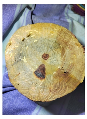 海南黎族收藏海南黄花梨红降，据传为海黄最香的料子，持久降香味