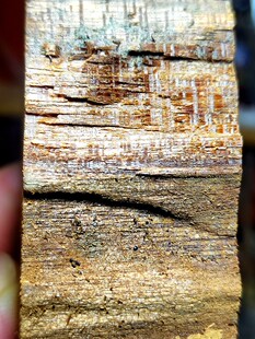 海南黎母山百年老料沉香,甘甜甜甜的药香,入口兰花香,舌麻生津