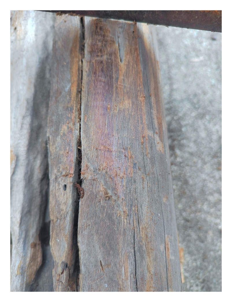 老海南绿奇楠沉香11.8公斤，海南黎族老房梁长1.73米香韵醇厚