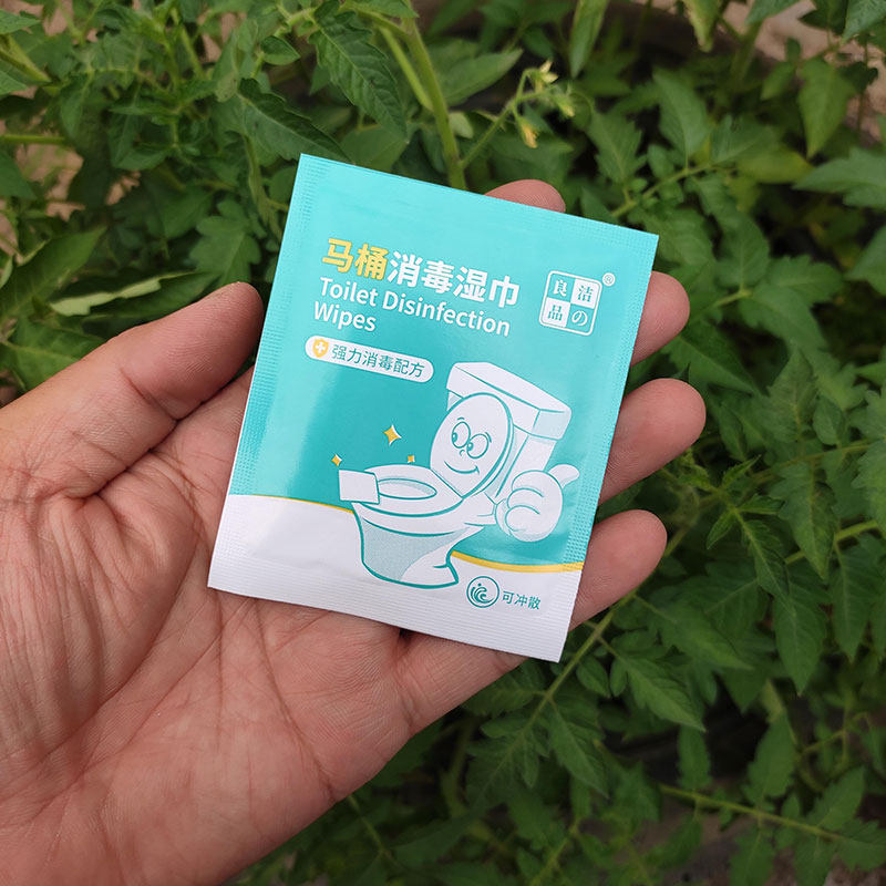 马桶消毒湿巾 便携式坐便消毒湿纸巾 洗必泰 木浆纸可冲洗 1片装