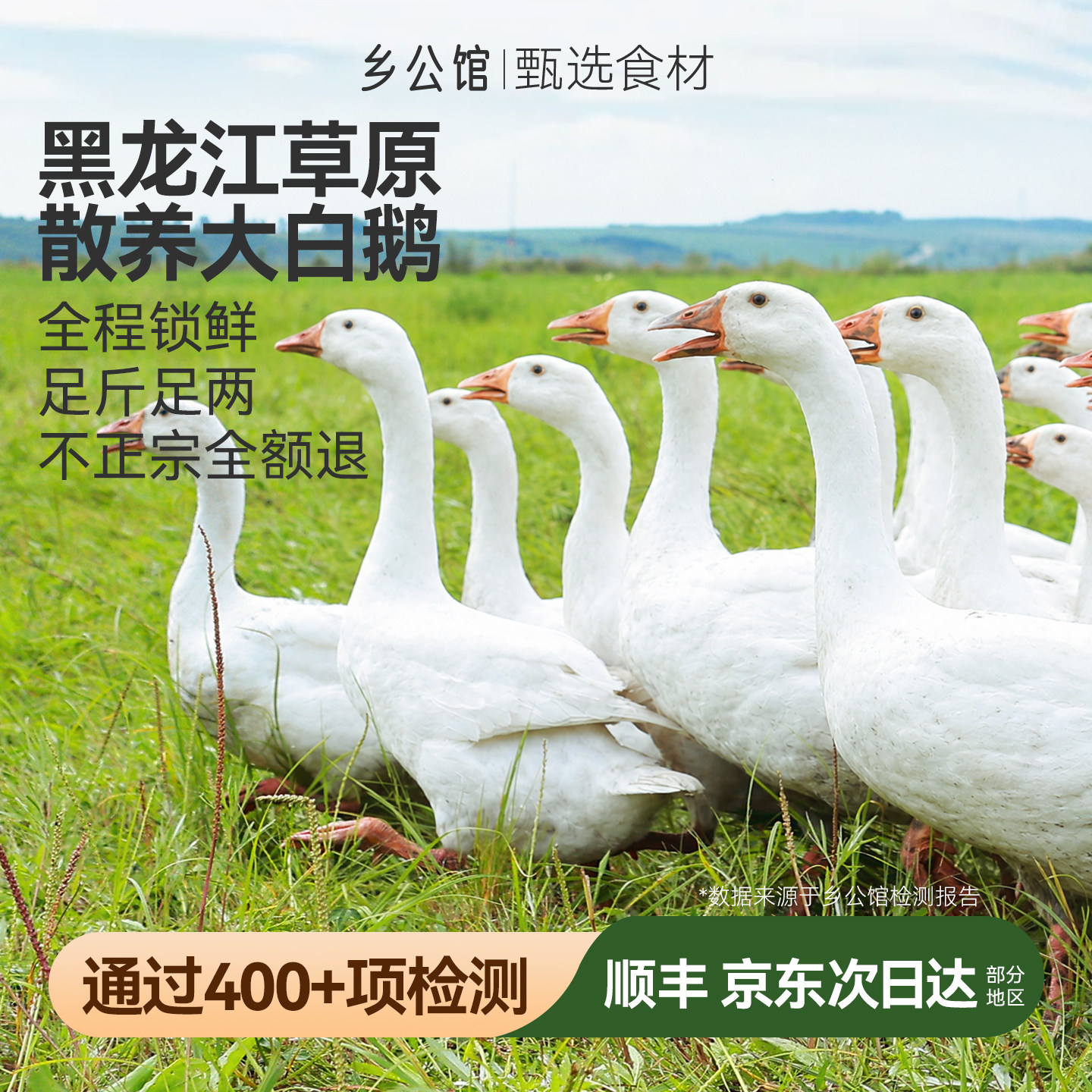 新鲜大鹅真空锁鲜顺丰包邮