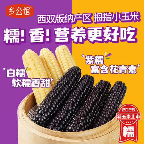 【原产地直发】精选拇指香糯玉米