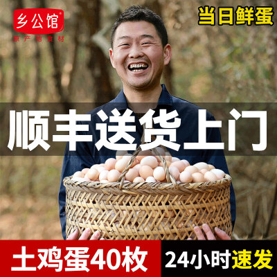 顺丰次日达正宗农家散养土鸡蛋