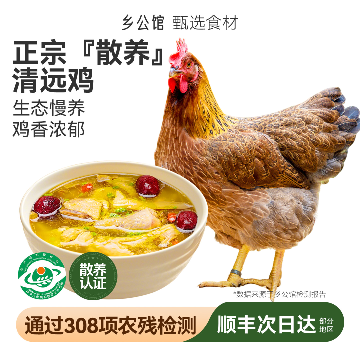 清远鸡正宗广东农家散养走地鸡