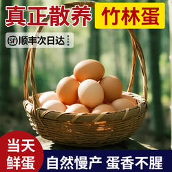 乡公馆农家散养竹林土鸡蛋新鲜草鸡蛋柴鸡蛋无抗无激素笨鸡蛋生鲜