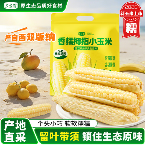 非转基因带皮拇指小玉米宝宝爱吃