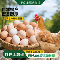 乡公馆竹林蛋新鲜土鸡蛋正宗农家散养谷物草鸡蛋真正的笨鸡蛋生鲜