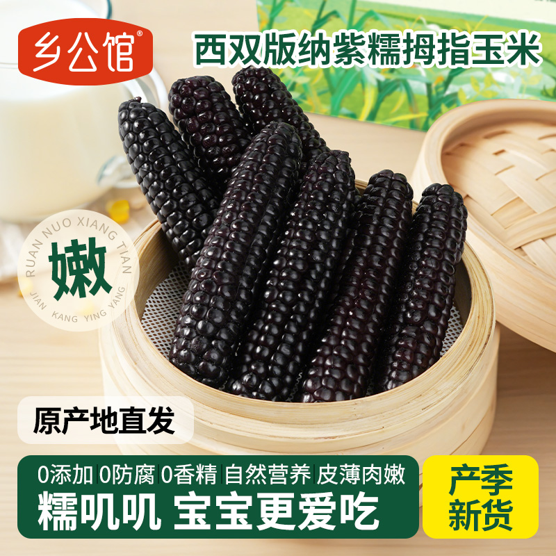 【原产地直发】精选紫糯拇指玉米