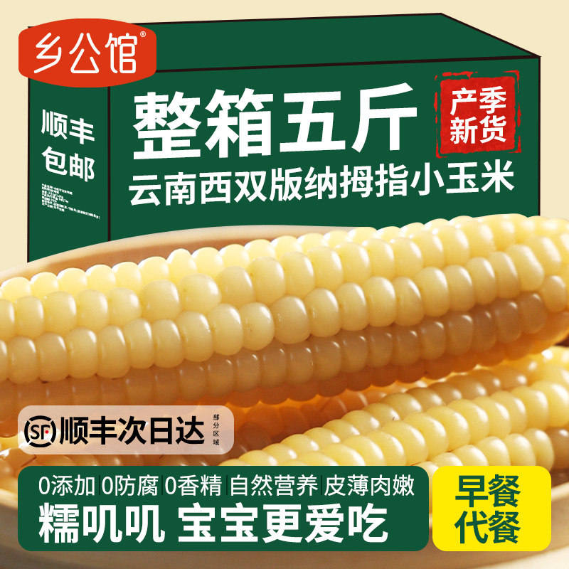 【顺丰次日达】高品质拇指小玉米
