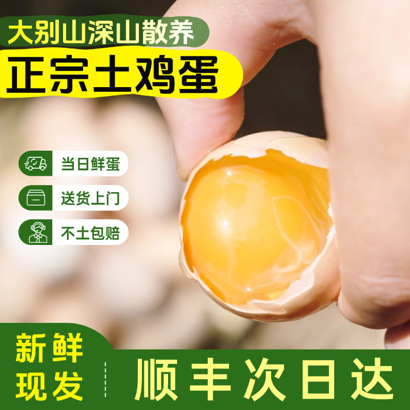 鸡蛋新鲜土鸡蛋正宗大别山农家散养土鸡蛋生鲜柴虫草土鸡蛋礼盒