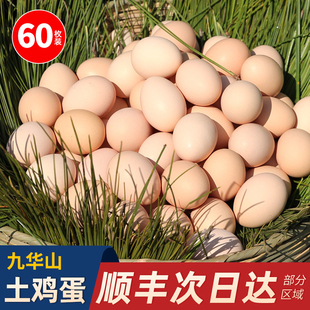 九华山鸡蛋新鲜土鸡蛋60枚农家散养谷物正宗草鸡蛋柴鸡蛋批发整箱