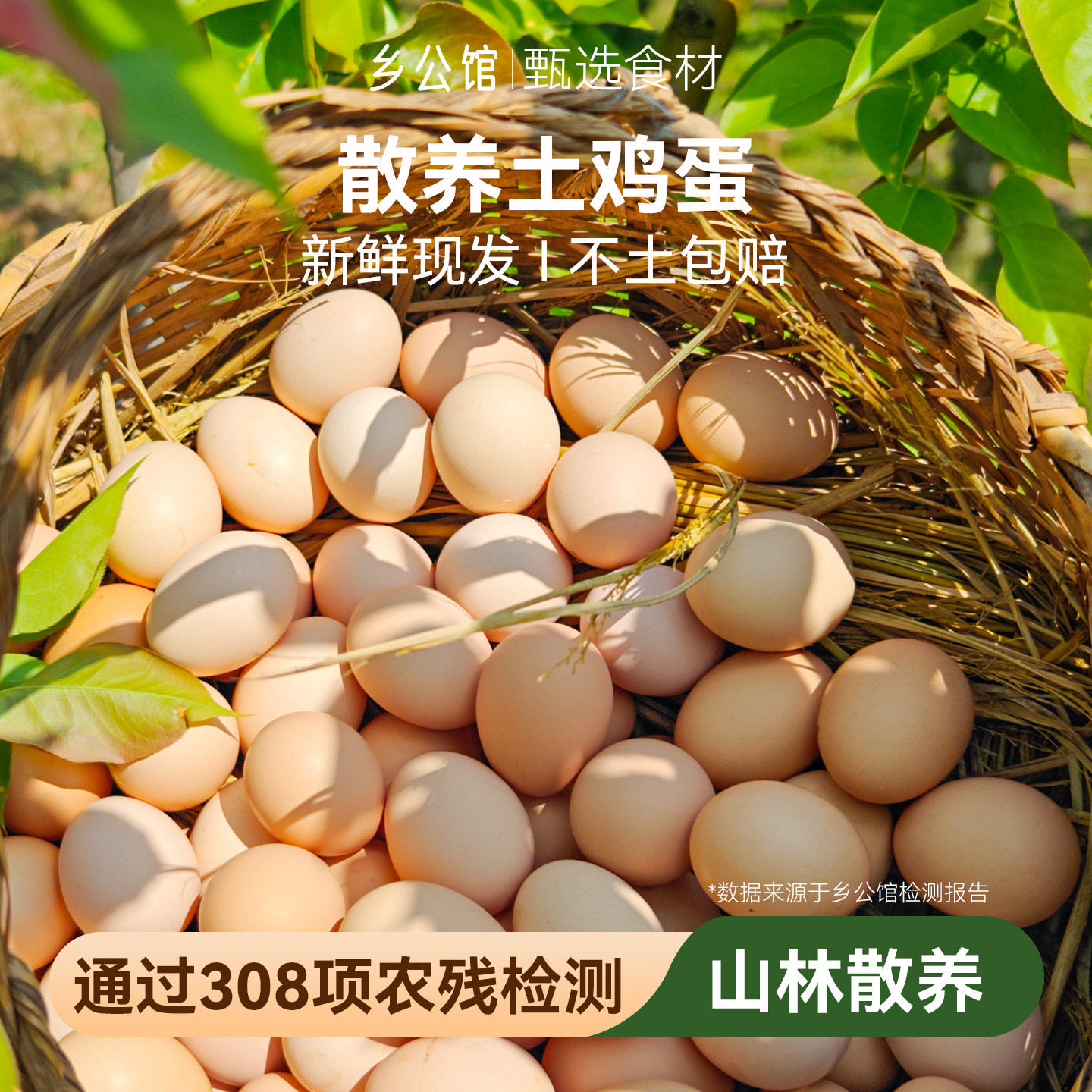 【顺丰次日达】正宗散养土鸡蛋图片