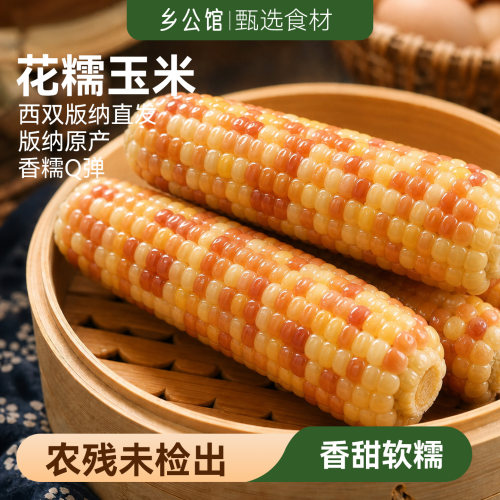 【低脂健康】西双版纳香糯小玉米