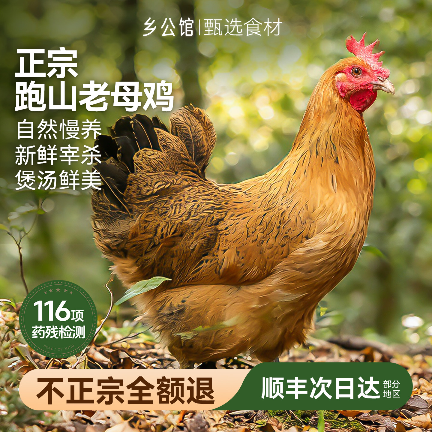 土鸡正宗农家散养顺丰包邮新鲜