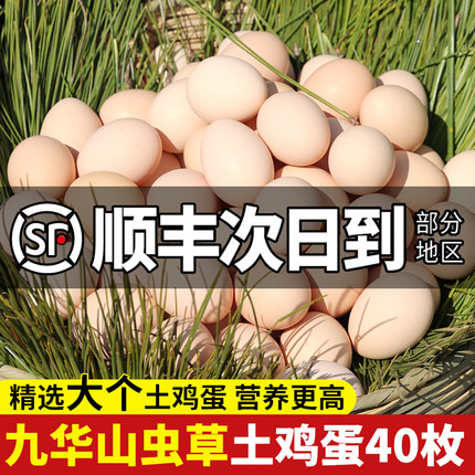 鸡蛋新鲜正宗农家散养土鸡蛋40枚无抗谷物草鸡蛋整箱批发笨柴鸡蛋