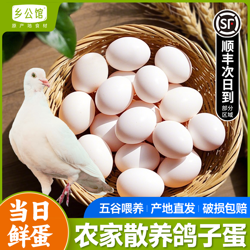 鸽子蛋新鲜五谷杂粮散养白鸽蛋