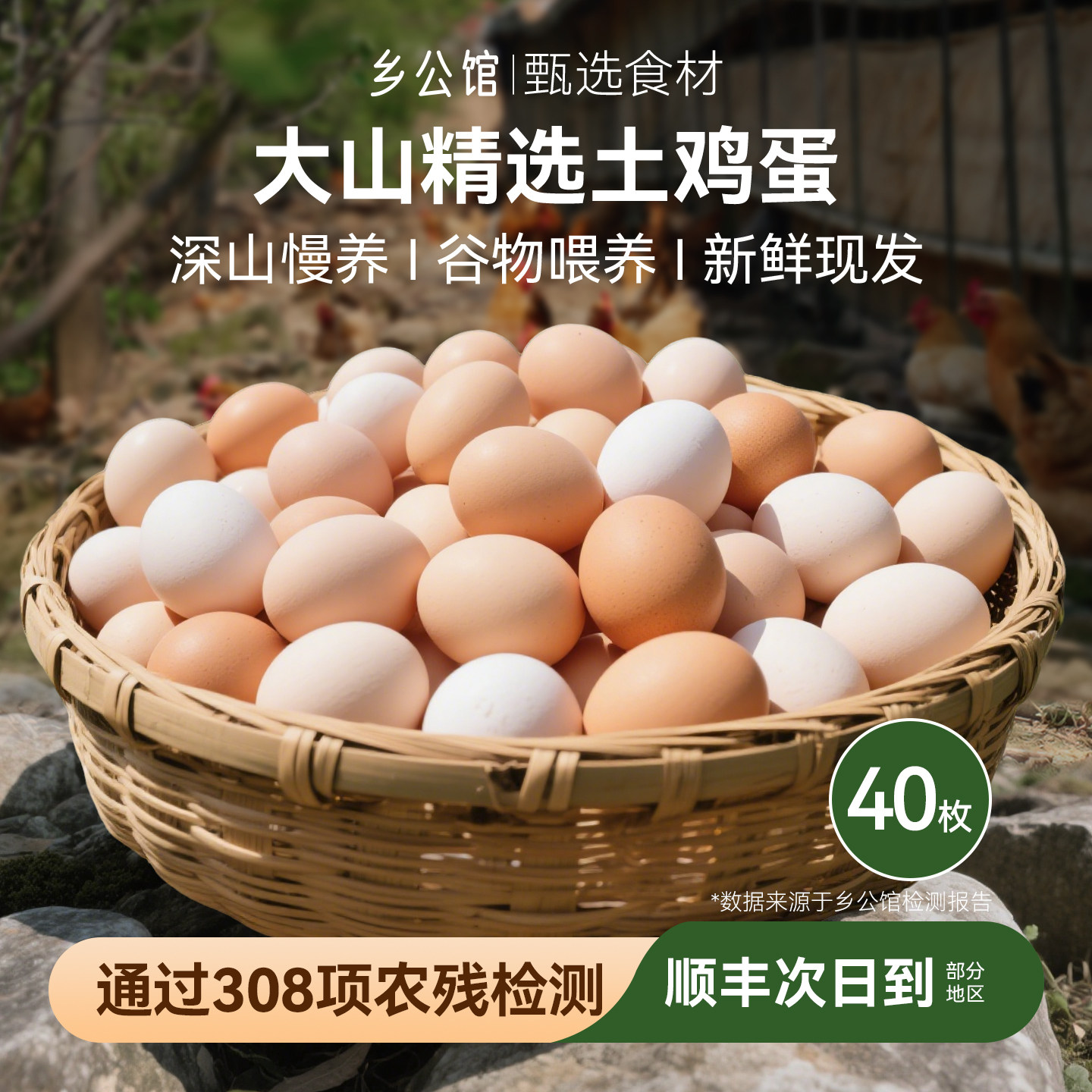 正宗深山散养土鸡蛋好吃无腥味