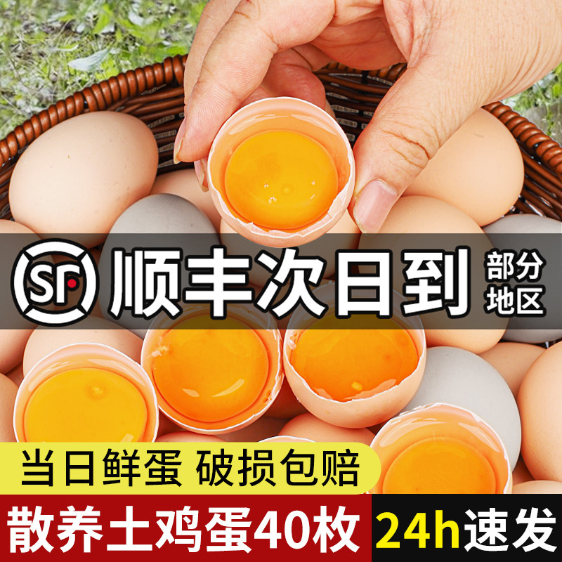 鸡蛋新鲜30枚正宗农家散养农村草鸡蛋官方旗舰店柴生鲜绿壳土鸡蛋