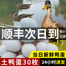 鸭蛋新鲜生鸭蛋土鸭蛋农家散养非海鸭蛋绿壳青皮鸭蛋30枚整箱批发