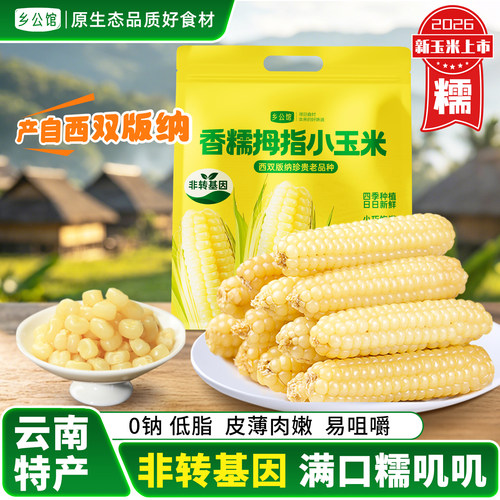 乡公馆云南香糯拇指玉米非转基因
