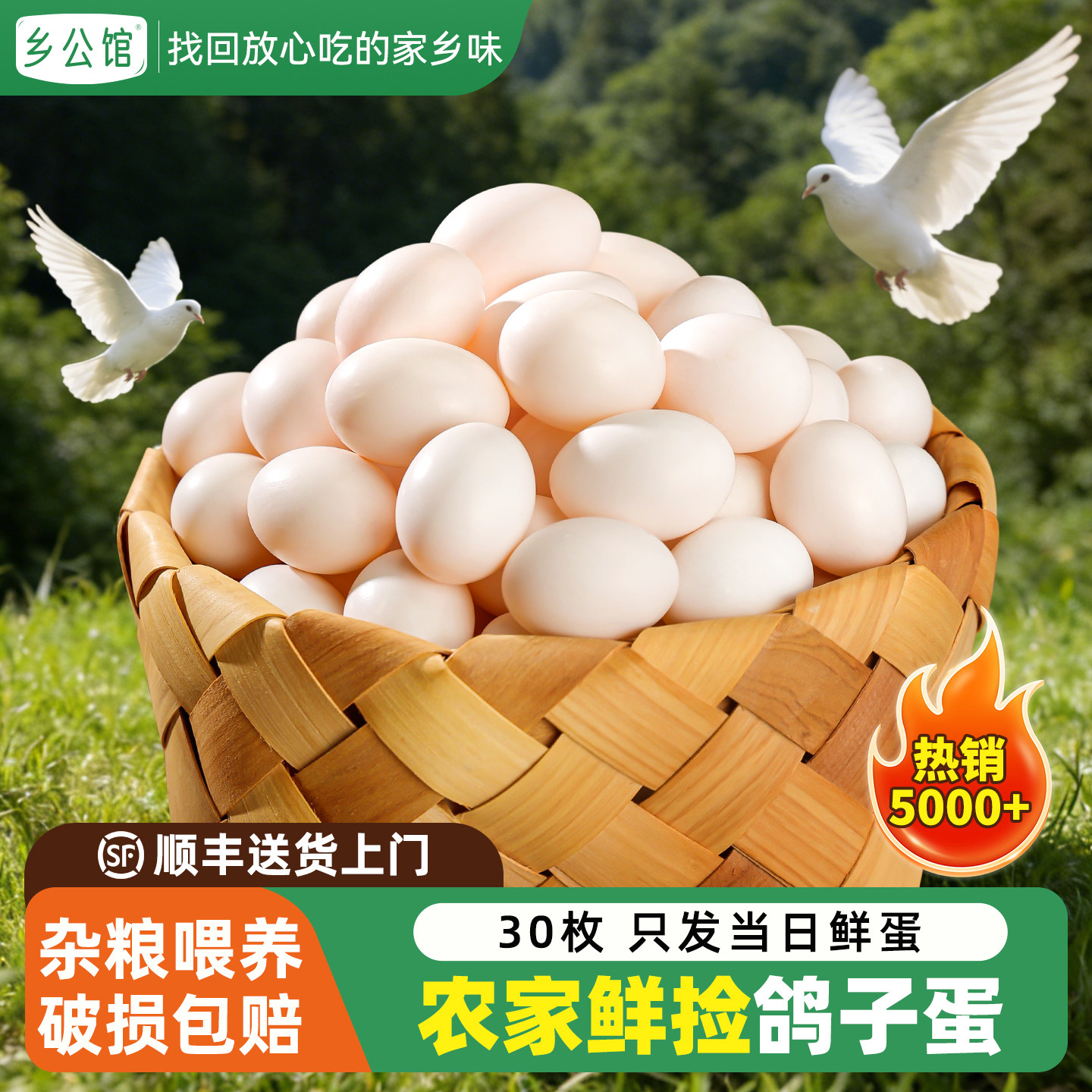 乡公馆新鲜鸽子蛋生鲜官方旗舰店农家散养20枚礼盒孕妇杂粮白鸽蛋
