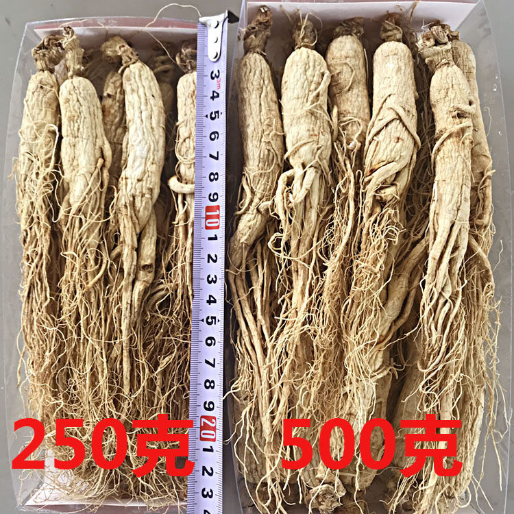 东北干人参长白山干参整枝生晒叁白参8年野山参泡酒泡茶散装500g