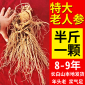 特大新鲜人参泡酒大人参大条一斤现挖带土东北长白山老野生山参